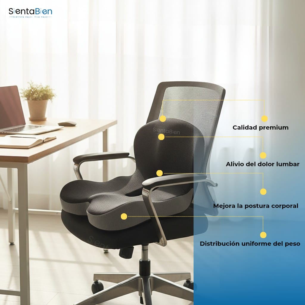 Cojín Ortopédico Premium de Espuma Viscoelástica