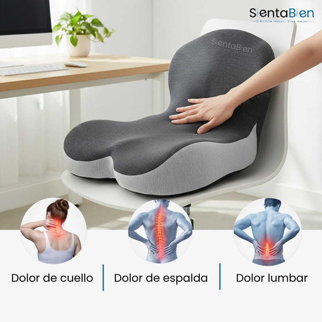 Cojín Ortopédico Premium de Espuma Viscoelástica